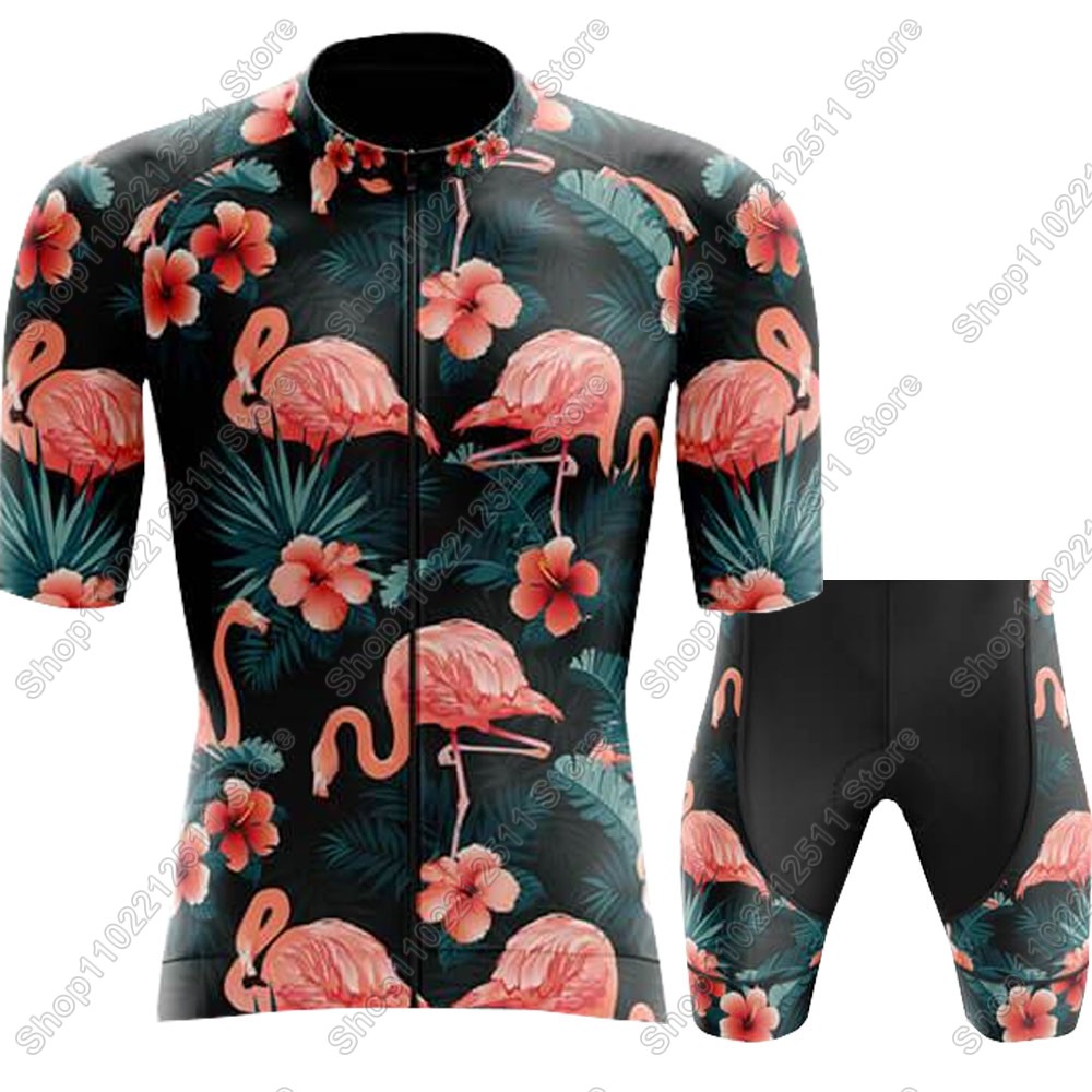 2025 Flamingo Wielertrui Set F - Cycling Community recensie en prijs